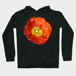 Orange Poppy Flower Hoodie